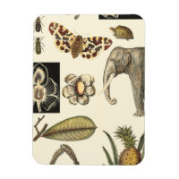 Assorted Animals Painted on Cream Background