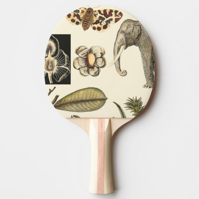 Assorted Animals Painted on Cream Background Ping Pong Paddle (Front)