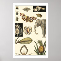 Assorted Animals Painted on Cream Background