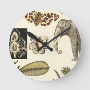 Assorted Animals Painted on Cream Background Round Clock