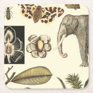 Assorted Animals Painted on Cream Background Square Paper Coaster