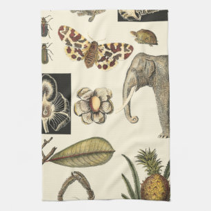 Assorted Animals Painted on Cream Background Tea Towel