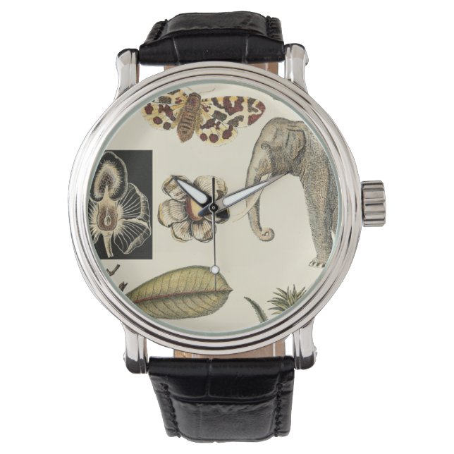 Assorted Animals Painted on Cream Background Watch (Front)