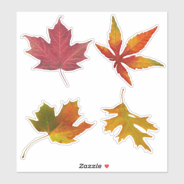 Assorted Autumn Leaves (Sheet)