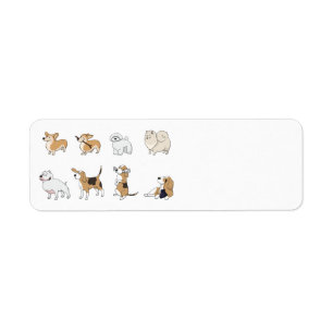 Assorted Dogs second