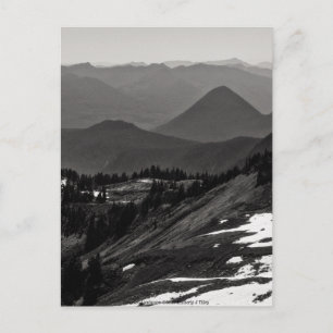 Assorted Landscape Postcard