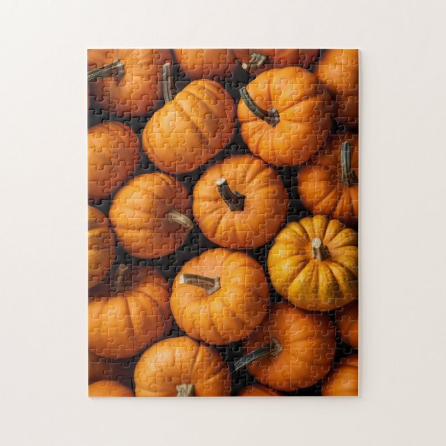 Assorted pumpkins jigsaw puzzle (Vertical)