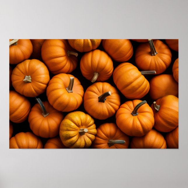 Assorted pumpkins poster (Front)