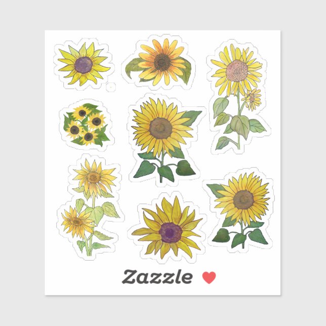 Assorted single and double sunflowers (Sheet)