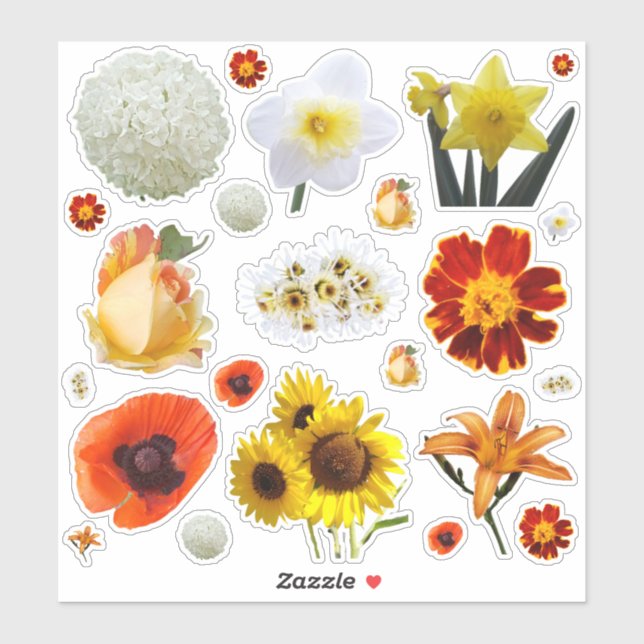 Assorted White Yellow Orange Flowers (Sheet)
