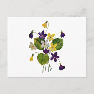 Assorted Wild Violets Done in Crewel Embroidery Postcard
