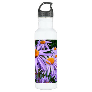 Aster 710 Ml Water Bottle