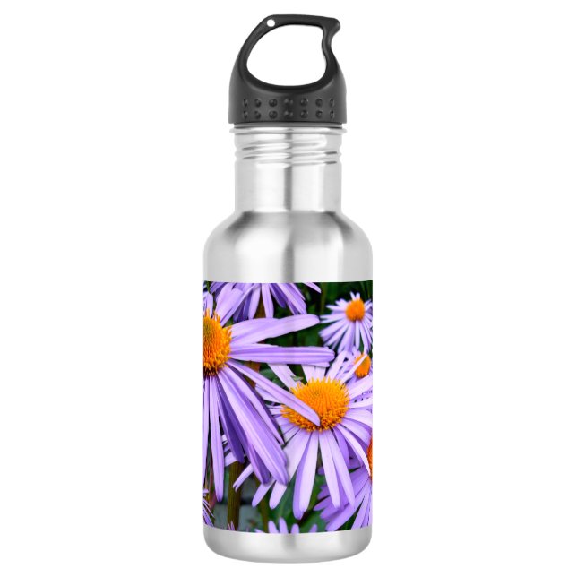 Aster 710 Ml Water Bottle (Front)