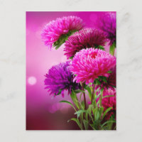 Aster Autumn Flowers Art Design