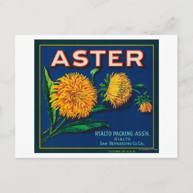 Aster Brand Citrus Crate Label Postcard (Front)