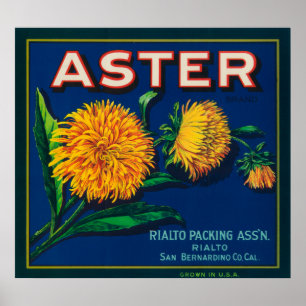 Aster Brand Citrus Crate Label Poster