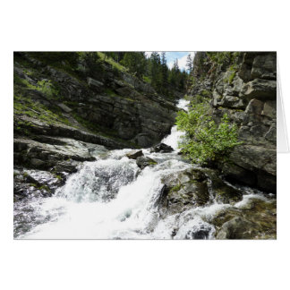 Aster Creek at Glacier National Park