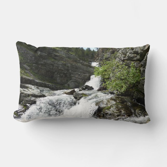 Aster Creek at Glacier National Park Lumbar Cushion (Front)