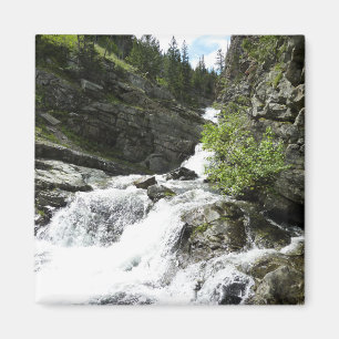 Aster Creek at Glacier National Park Magnet