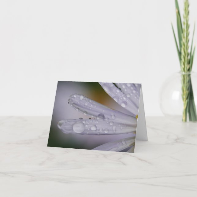 Aster Flower Card (Front)