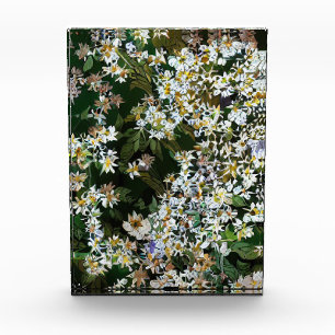 ASTER FLOWERS PHOTO BLOCK