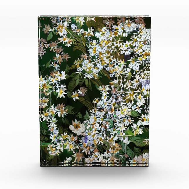 ASTER FLOWERS PHOTO BLOCK (Front)