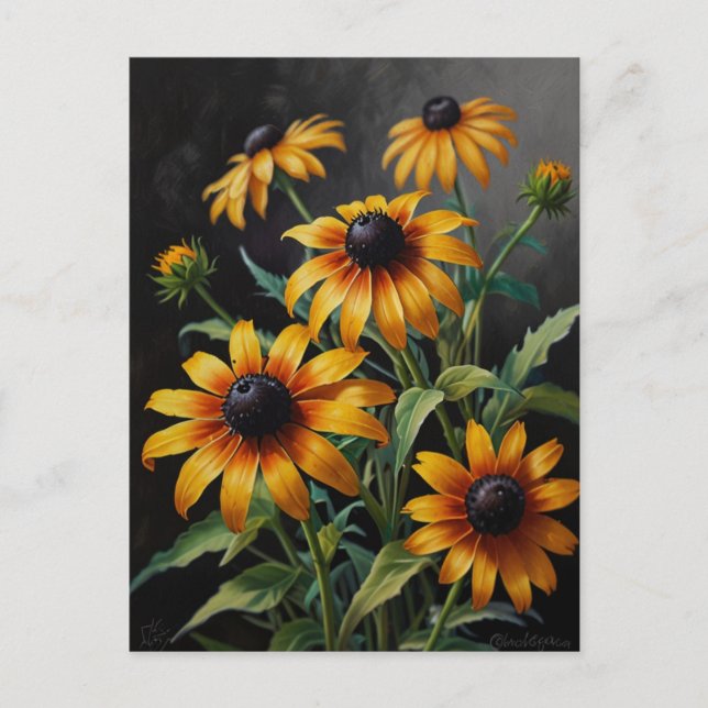 Aster flowers postcard (Front)