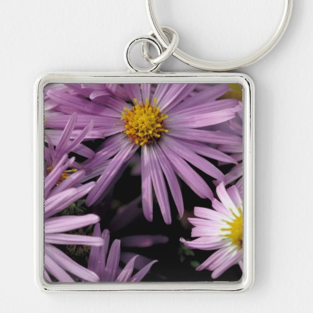 Aster Key Ring (Front)