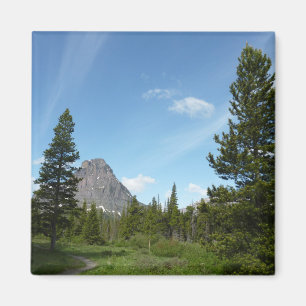 Aster Park Trail at Glacier National Park Magnet