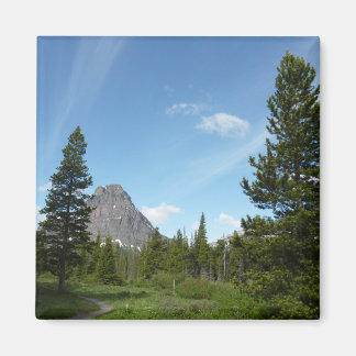 Aster Park Trail at Glacier National Park Magnet