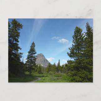 Aster Park Trail at Glacier National Park Postcard