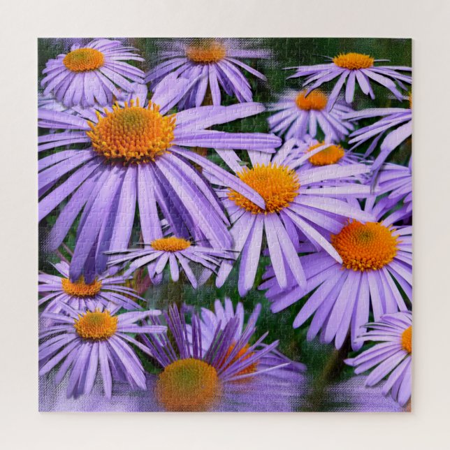Aster tongolensis jigsaw puzzle (Vertical)