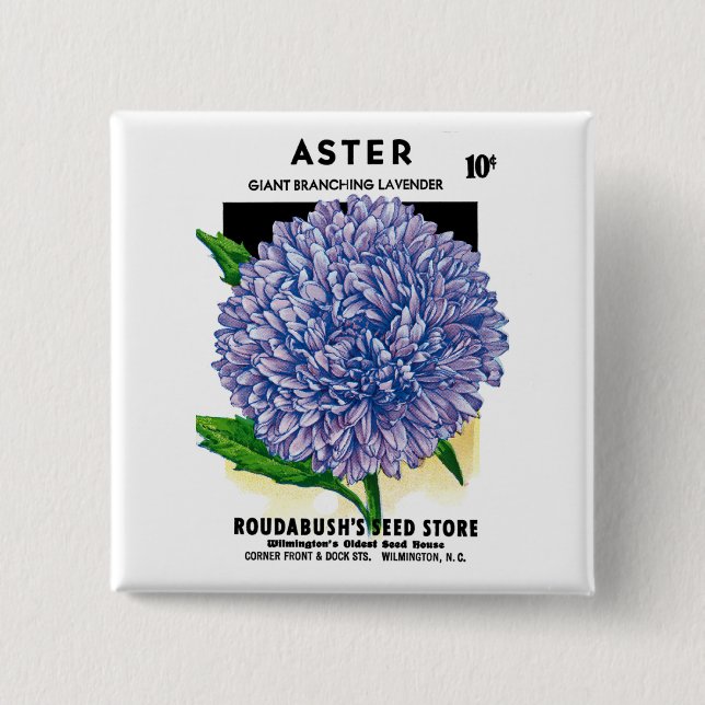 Aster Vintage Seed Packet 15 Cm Square Badge (Front)