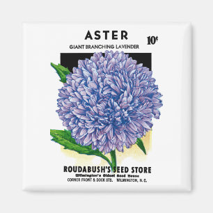 Aster Vintage Seed Packet Magnet