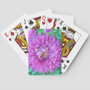Aster with Crab Spider Playing Cards