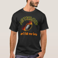 Asteroid: don't hit me bro