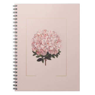 asthetic diary notebook