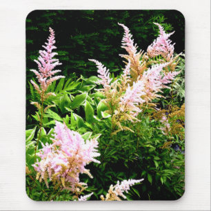 Astilbe Mouse Pad