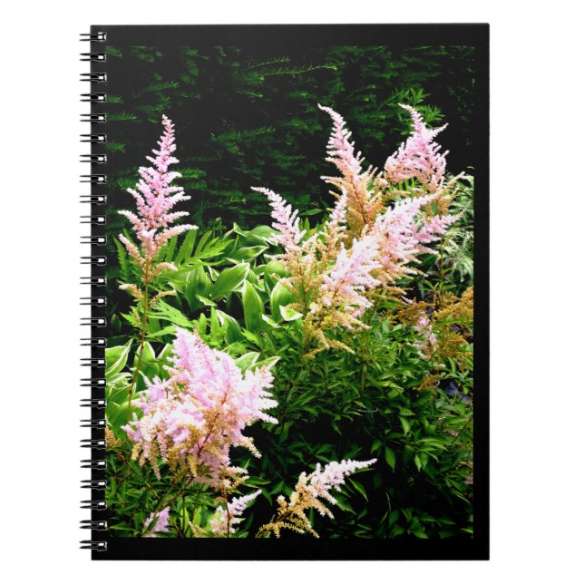Astilbe Notebook (Front)