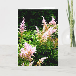 Astilbe Thank You Card