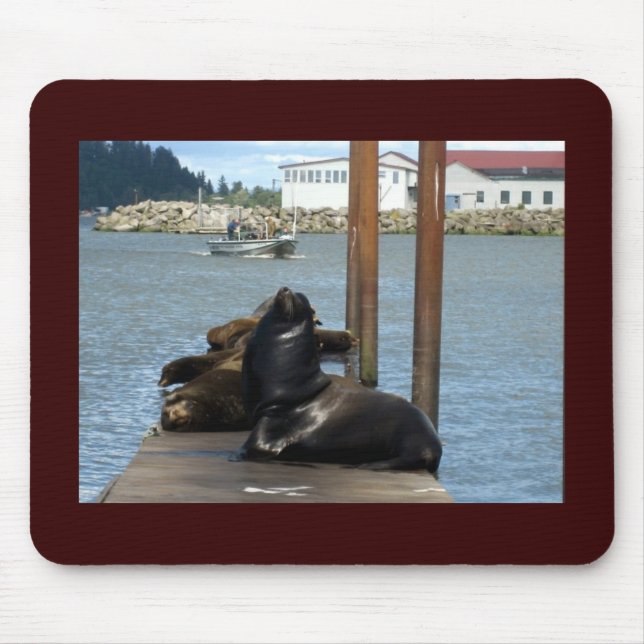 Astoria Oregon Sealions Mouse Pad (Front)
