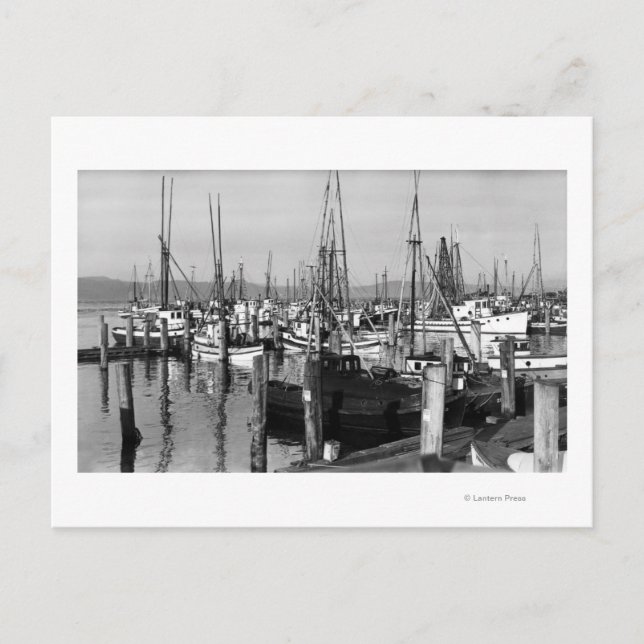 Astoria, Oregon Waterfront View of Fishing Fleet Postcard (Front)