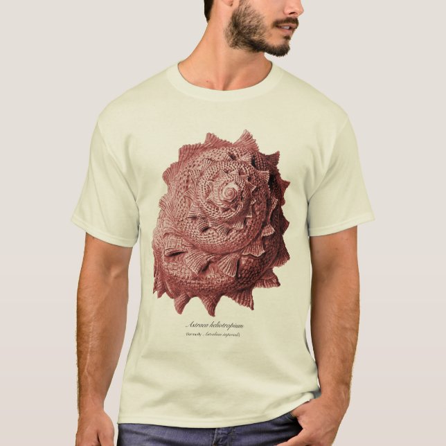 Astraea heliotropium T-Shirt (Front)