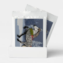 Astrid Icelandic mare for the Holidays