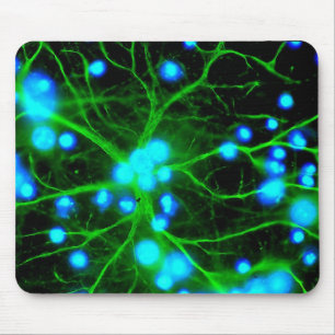 Astrocyte Are Star Shaped Glial Cells in the Brain Mouse Pad