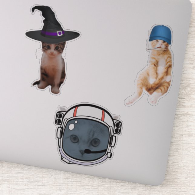 Astronaut Cat (Detail)