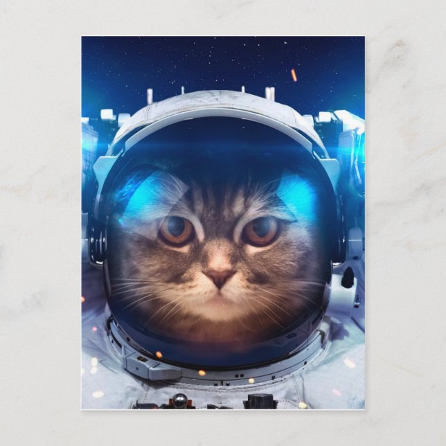 Astronaut cat floats above Earth Postcard (Front)