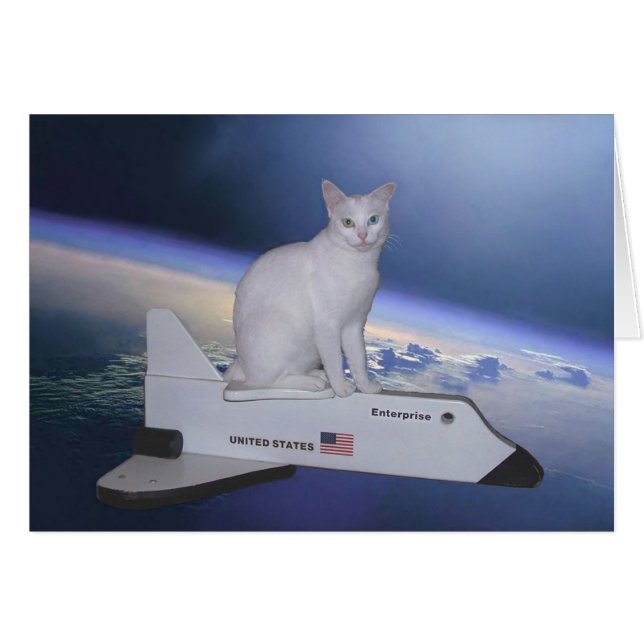 Astronaut Cat (Spirit) on Space Shuttle (Front Horizontal)