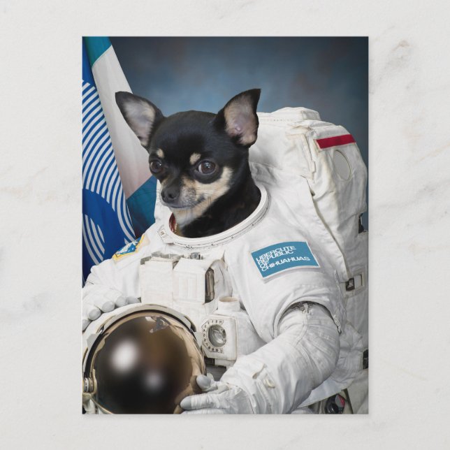 Astronaut Chihuahua Postcard (Front)