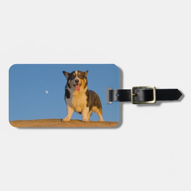 Astronaut Dreaming Luggage Tag (Front Horizontal)